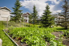 lifestyle_gallery-42